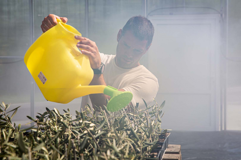 Пресс-служба КФУ имени В.И. Вернадского