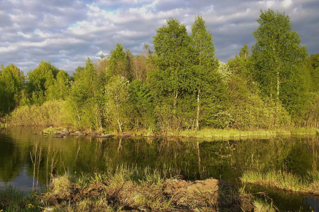 Личный архив предпринимателя Вадима Грибанова Личный архив предпринимателя Вадима Грибанова