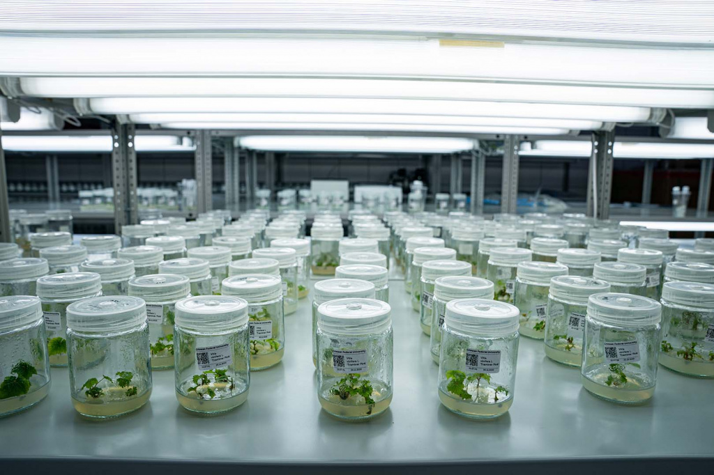 Пресс-служба КФУ имени В.И. Вернадского