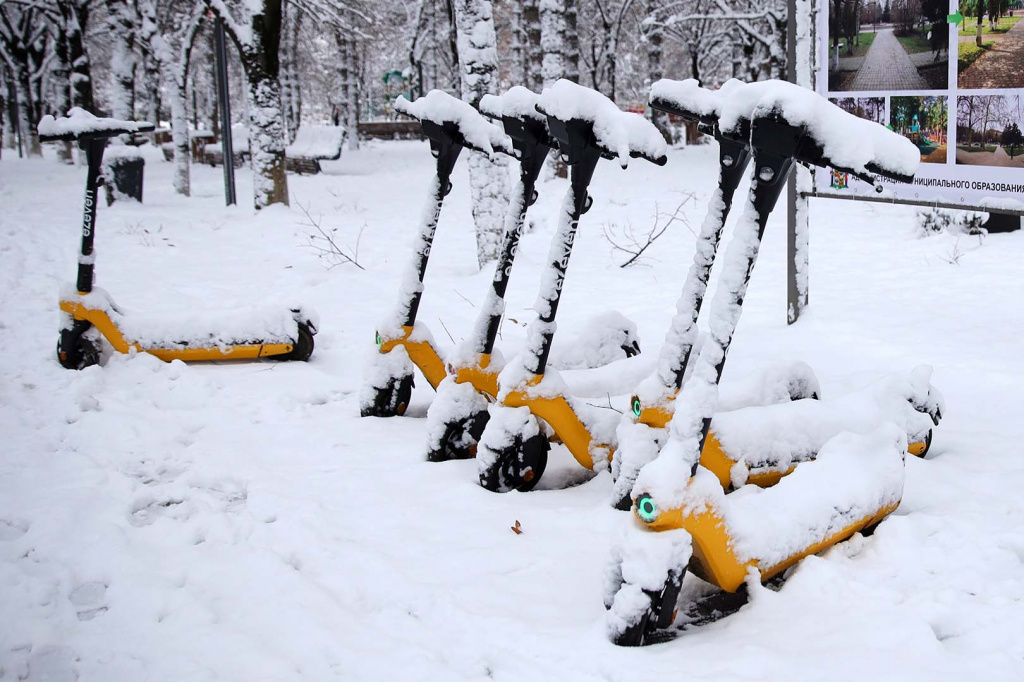 Виталий Тимкив/РИА Новости Виталий Тимкив/РИА Новости
