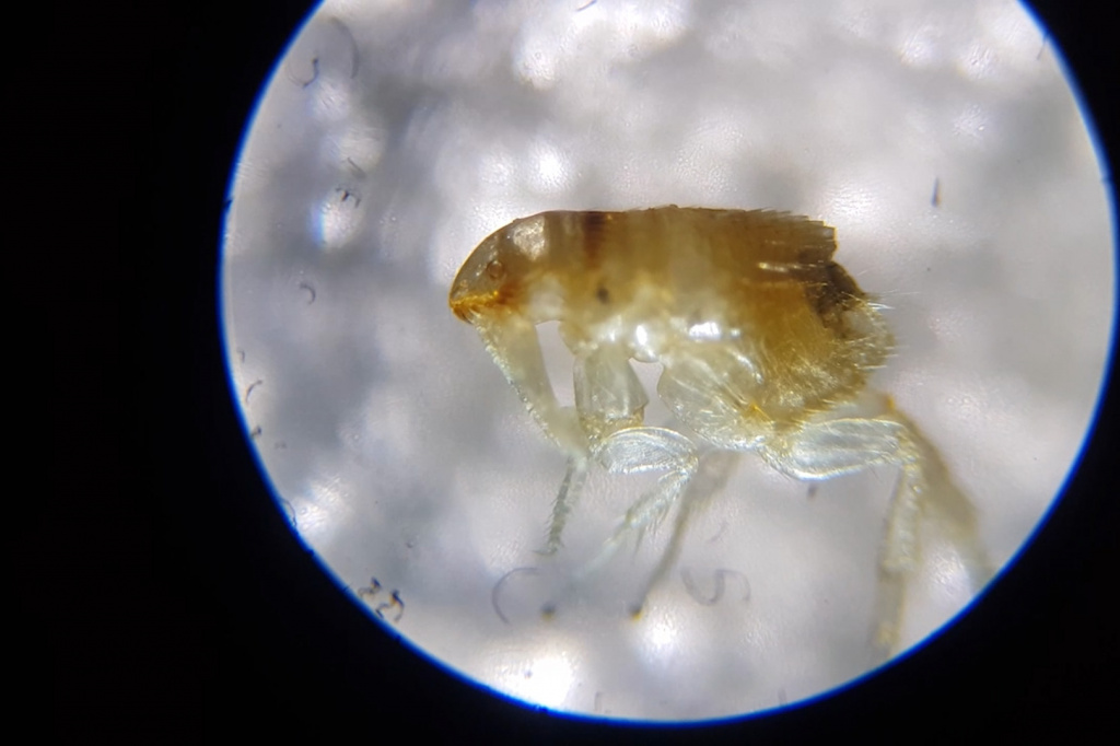 ARTEF_TYLA_32.00_01_32_24.Still012.jpg ARTEF_TYLA_32.00_01_32_24.Still012.jpg