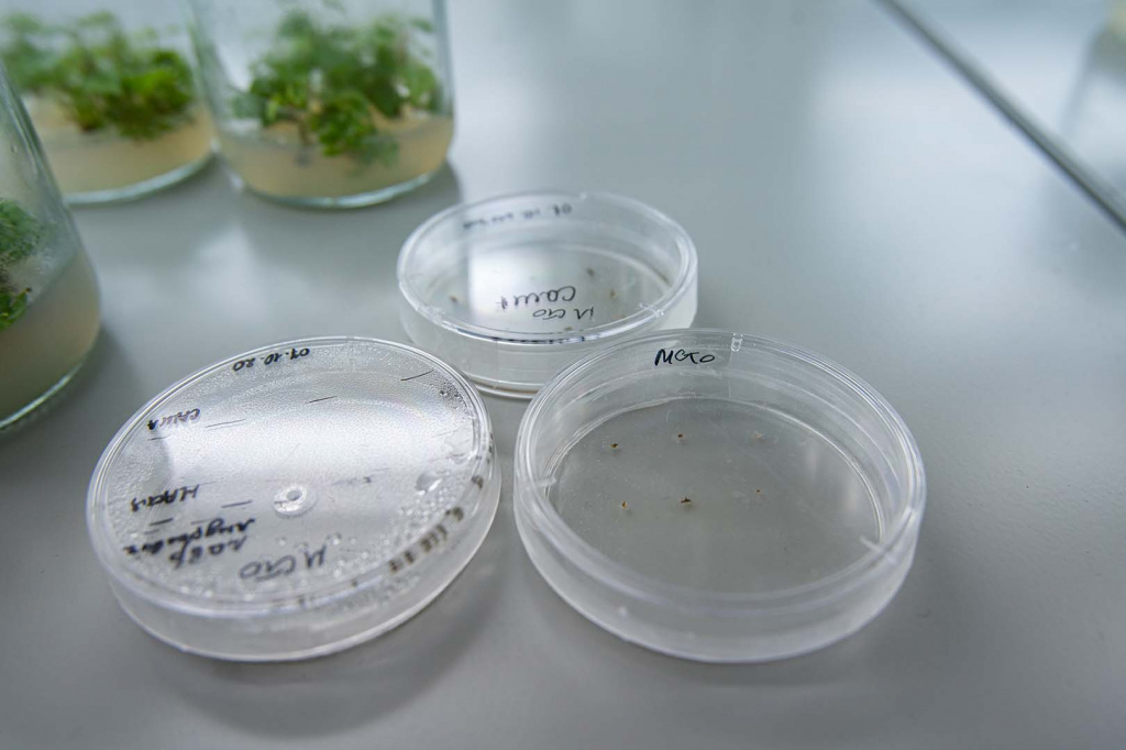 Пресс-служба КФУ имени В.И. Вернадского