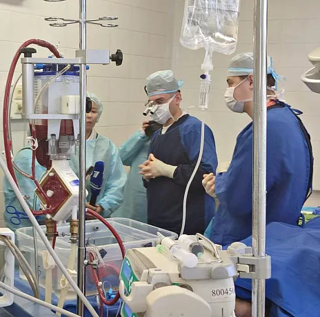 В Новосибирске создали систему длительной транспортировки донорского сердца