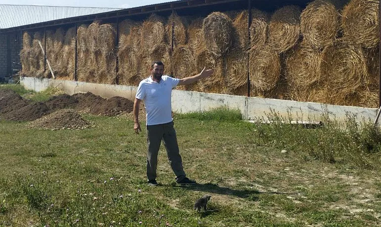Как&nbsp;фермер Абукар Сапралиев расширил хозяйство и&nbsp;завел коров
