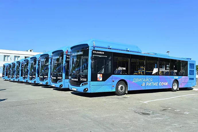 В&nbsp;Сочи поступило 26&nbsp;автобусов на&nbsp;экологичном топливе