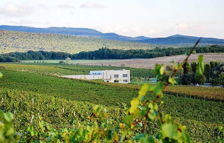 В&nbsp;Новороссийске появится еще&nbsp;один глэмпинг