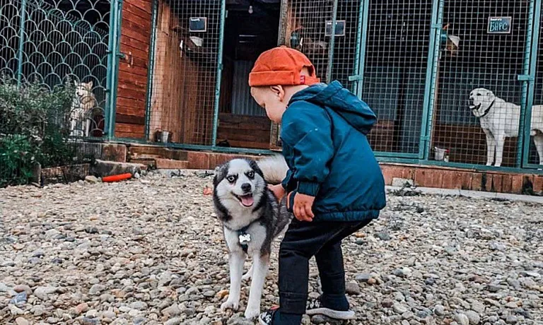 В&nbsp;Приморье с&nbsp;помощью господдержки открыли зоогостиницу