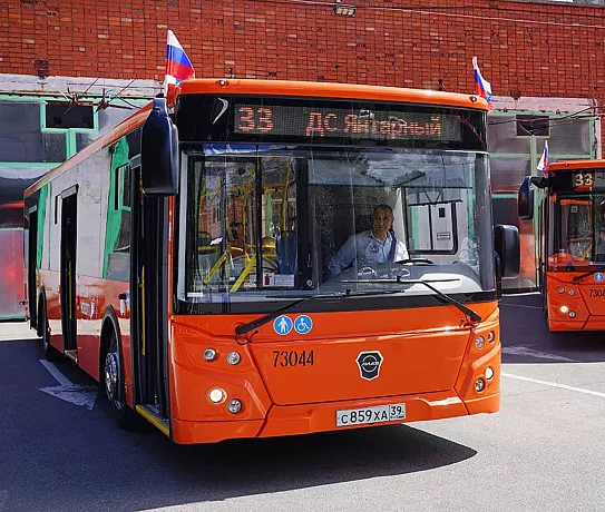В&nbsp;Калининграде начали курсировать новые автобусы
