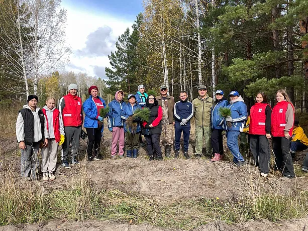 В&nbsp;селе Станичном в&nbsp;Тюменской области высадили почти 4&nbsp;тысячи сеянцев сосны