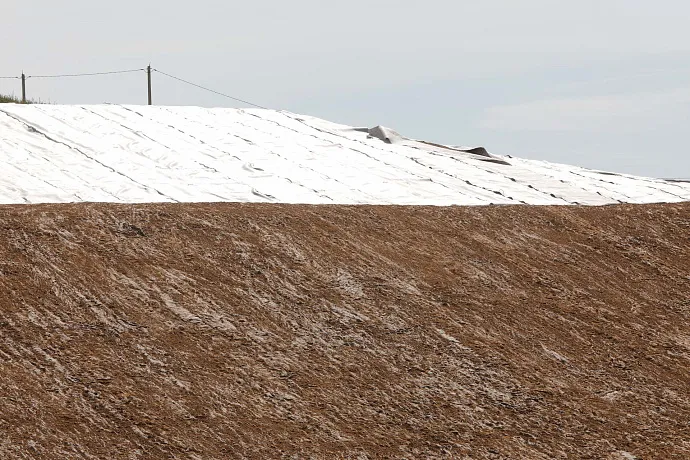 В Свердловской области ликвидировали 931 несанкционированную свалку